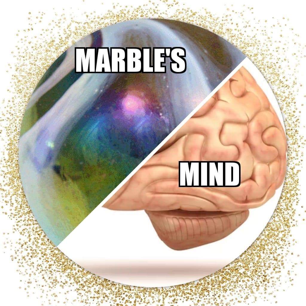 Marble's Mind